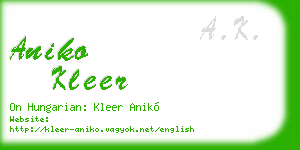 aniko kleer business card